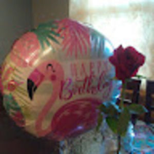 Meet your Posher, Ariadna